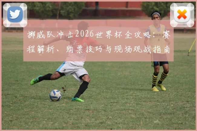 挪威队冲击2026世界杯全攻略：赛程解析、购票技巧与现场观战指南